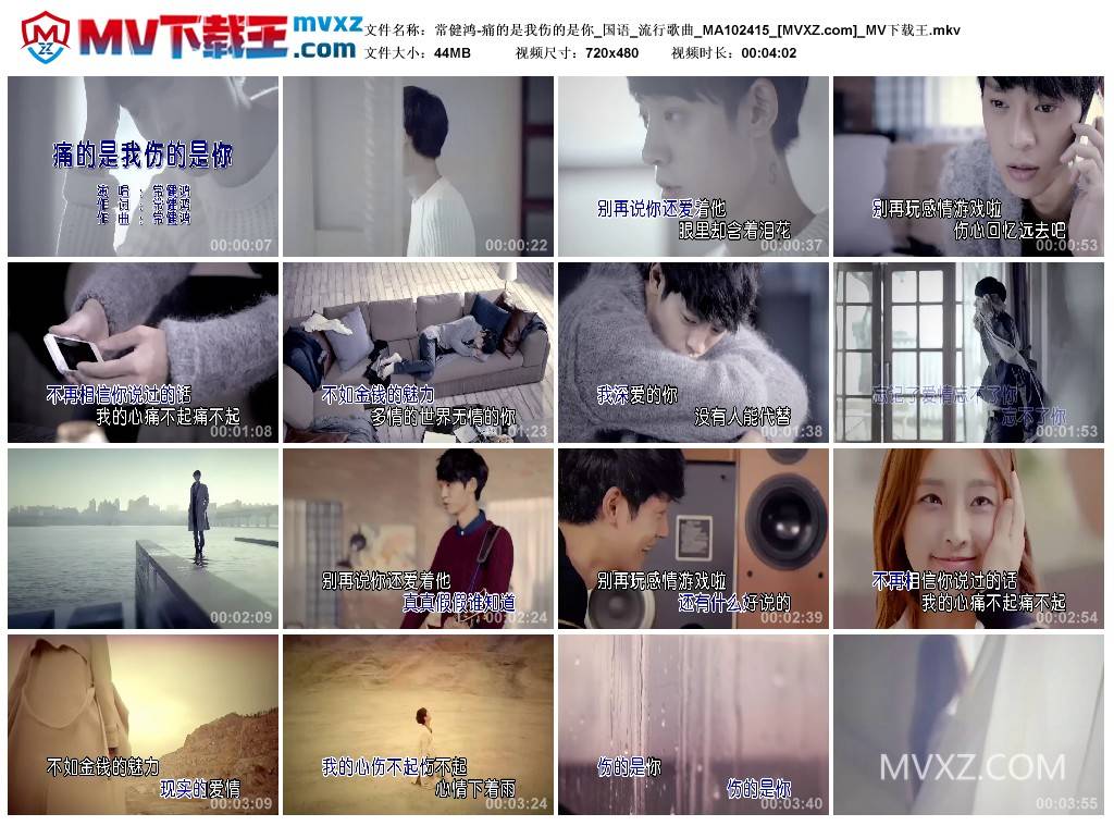 常健鸿-痛的是我伤的是你_国语_流行歌曲_MA102415